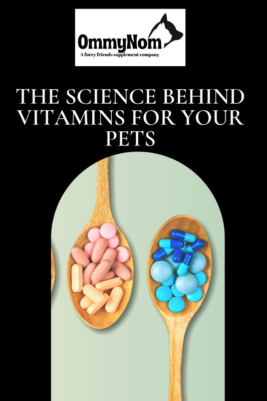 Ommynom why cat and dog vitamins are important image 
