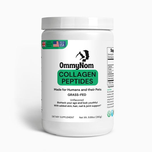 What supplements do cats and dogs need?